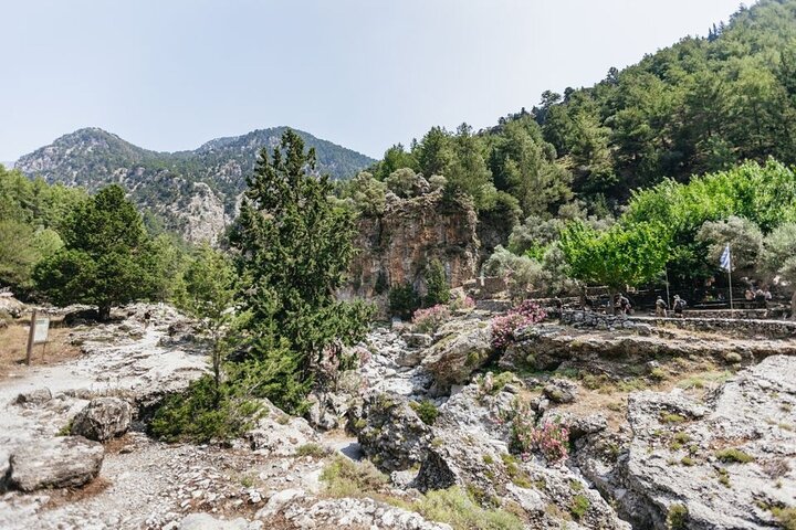 Crete : Samaria Easy way Gorge from Sfakia with Private Transfer