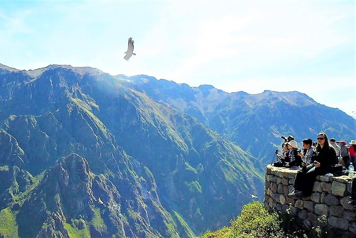 Full Day trip from Arequipa to Colca Canyon ending in Puno