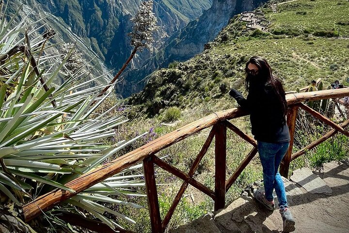 Full Day trip from Arequipa to Colca Canyon ending in Puno