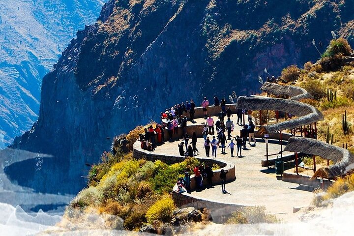 Full Day trip from Arequipa to Colca Canyon ending in Puno