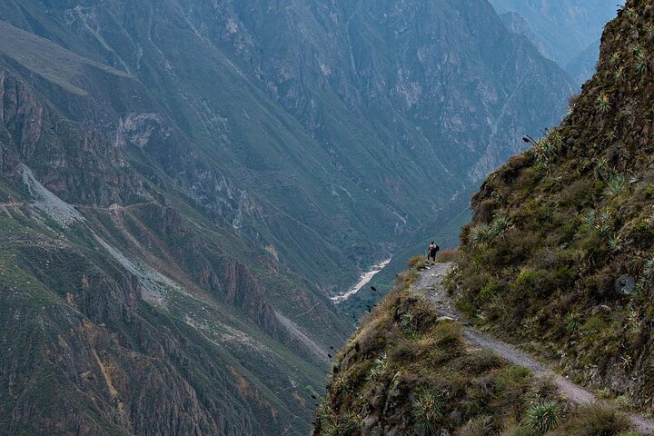 Full Day trip from Arequipa to Colca Canyon ending in Puno