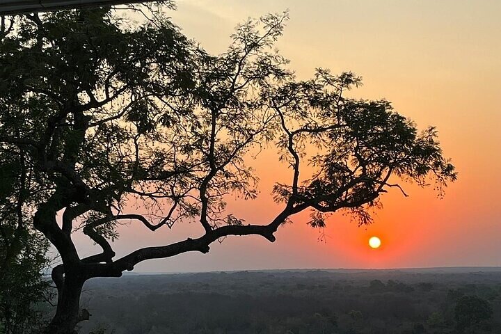 3 Days Exclusive Naaya Safari To Mole National Park