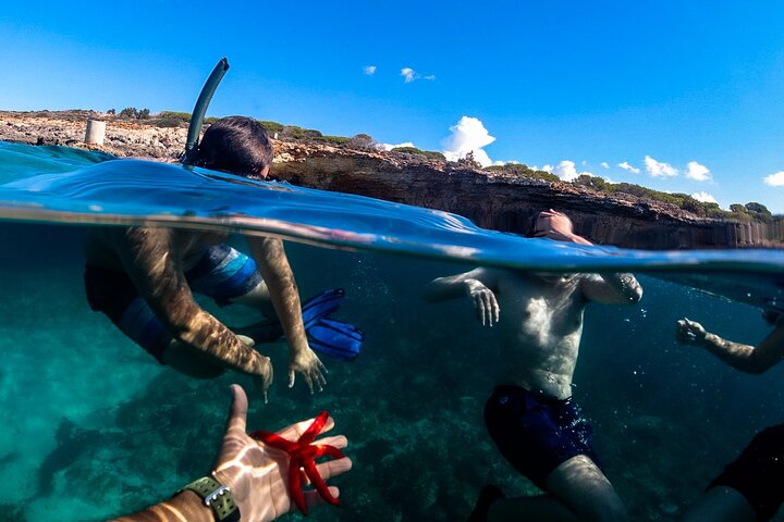 Half Day Private Boat Tour - Malta Blue Lagoon Comino and Gozo