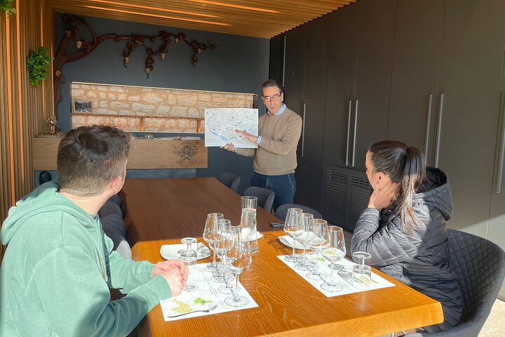Prosecco Wine Tour with Sommelier – Pick-up from Treviso