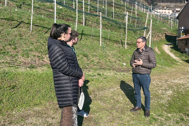 Prosecco Wine Tour with Sommelier – Pick-up from Treviso