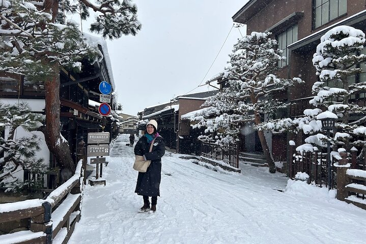 Takayama Half Day Tour (Private Guide)