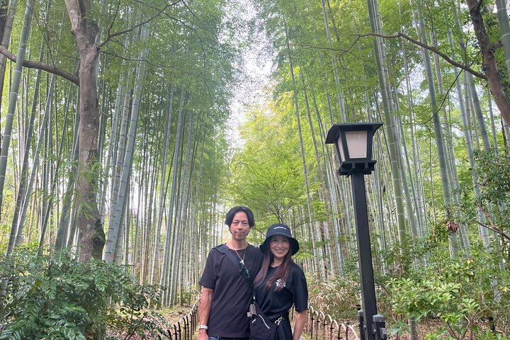 Ultimate View Izu Car Tour with Hotel Pickup and Local Guide