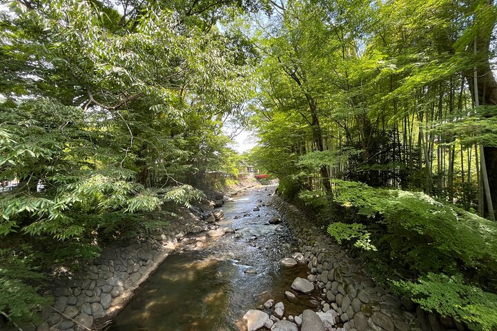 Ultimate View Izu Car Tour with Hotel Pickup and Local Guide