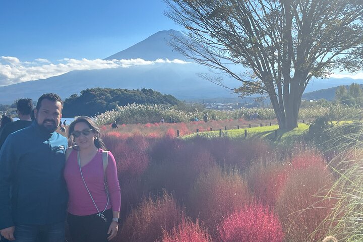 Private Fuji Half-day Car Tour with Hotel Pickup and Local Guide