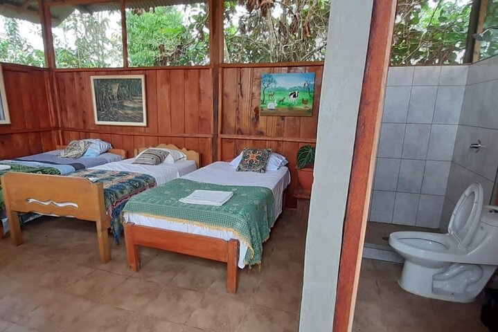 3/Days 2 Nights Amazon Rainforest Wildlife 270 usd