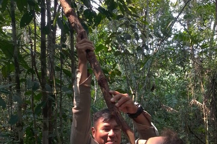 3/Days 2 Nights Amazon Rainforest Wildlife 270 usd