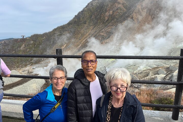 Private Hakone Half-day Car Tour with Hotel Pickup - Local Guide