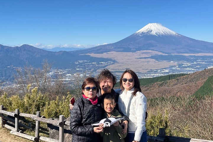 Private Hakone Half-day Car Tour with Hotel Pickup - Local Guide
