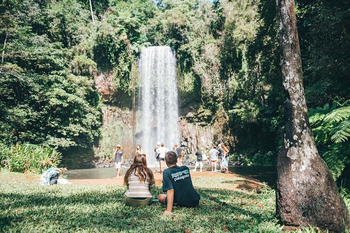 Cairns: All Inclusive Waterfalls and Rainforest Tour