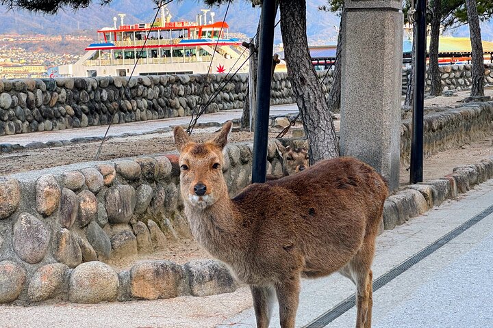 Peaceful Hiroshima & Miyajima UNESCO 1 Day Bus Tour