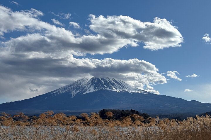 Mount Fuji, Kamakura, Big Buddha, & Lake Ashi Day Trip