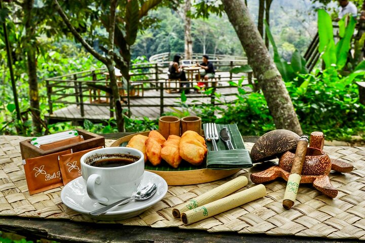 Ubud: Waterfall, Temple & Rice Terrace All-Inclusive Private Tour