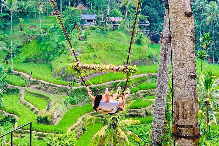 Ubud: Waterfall, Temple & Rice Terrace All-Inclusive Private Tour