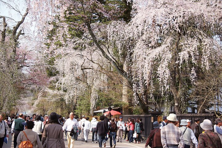 Akita: Private Guided Tour with Optional Kakunodate Visit