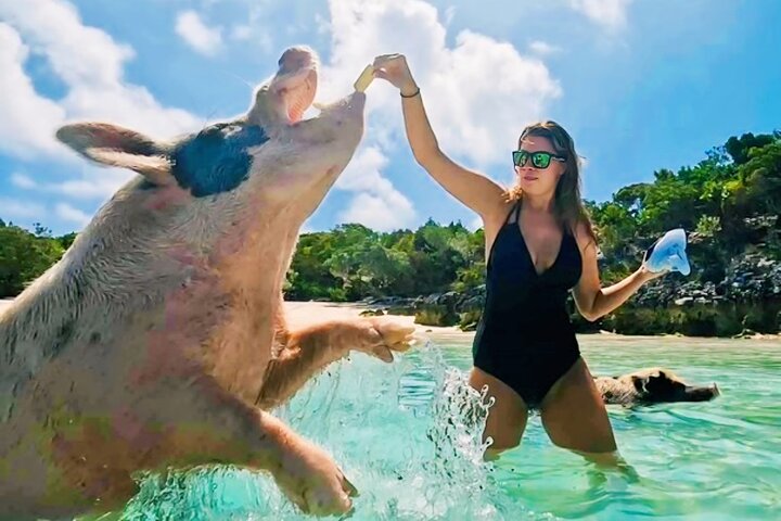Exuma Island and Cays Tour