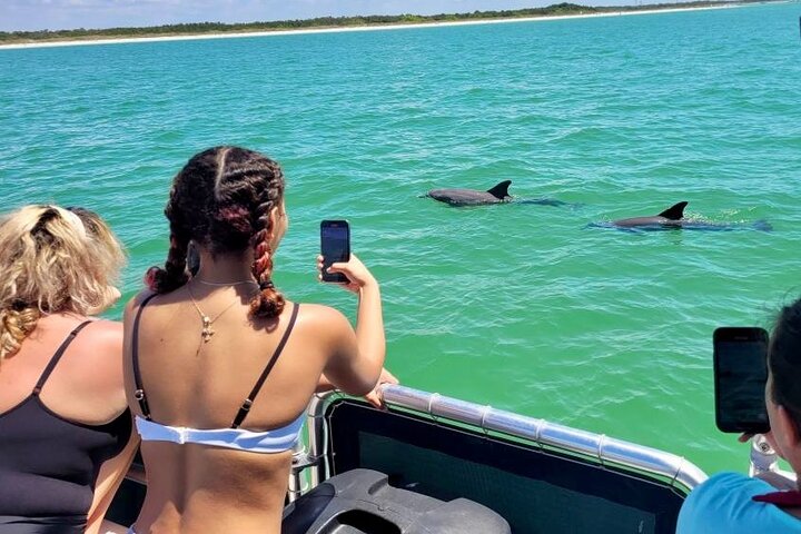 2.5 Hour Shell Key Island Adventure Including Dolphins And Shells