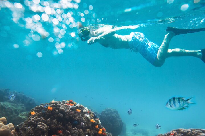 Nha Trang Half-Day Snorkeling Adventure at Marine Park with BBQ