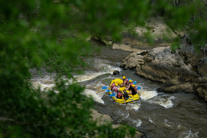 Barron River Rafting: Cairns, Port Douglas or Self-Drive