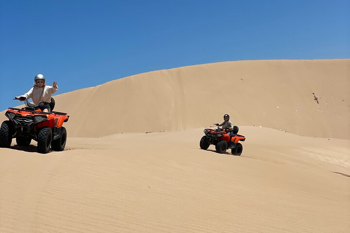 Essaouira Camel Ride, Quad Bike & Buggy Adventure