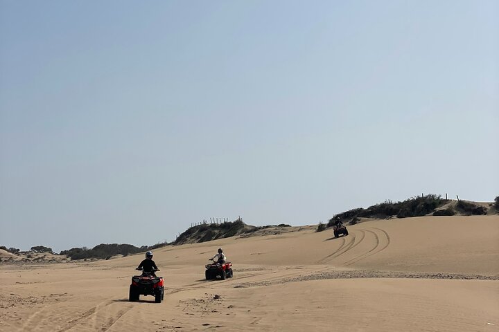 Essaouira Camel Ride, Quad Bike & Buggy Adventure