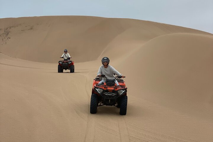 Essaouira Camel Ride, Quad Bike & Buggy Adventure