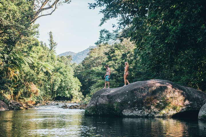 Cairns: All Inclusive Waterfalls and Rainforest Tour