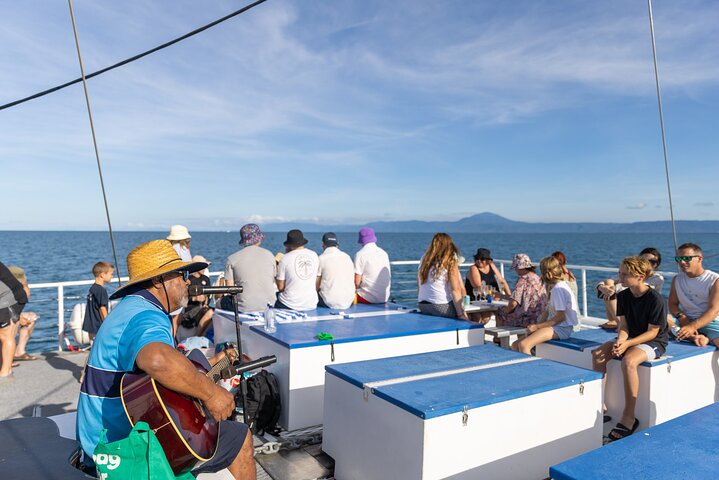 Wavedancer Low Isles Great Barrier Reef Sailing Cruise