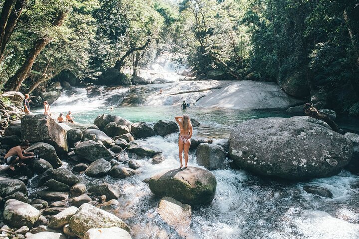 Cairns: All Inclusive Waterfalls and Rainforest Tour