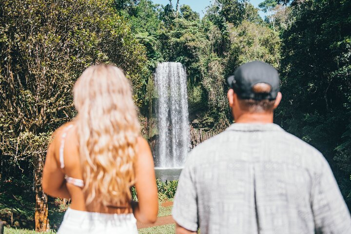 Cairns: All Inclusive Waterfalls and Rainforest Tour