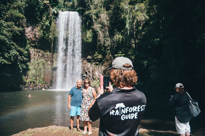 Cairns: All Inclusive Waterfalls and Rainforest Tour