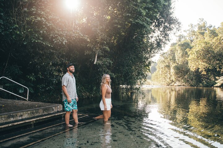 Cairns: All Inclusive Waterfalls and Rainforest Tour