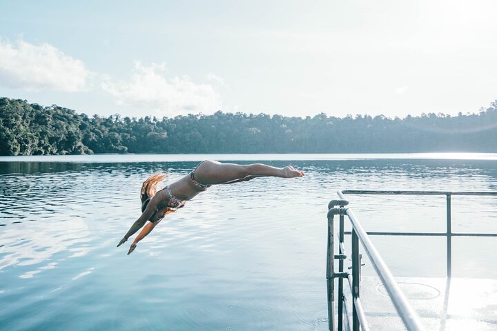 Cairns: All Inclusive Waterfalls and Rainforest Tour