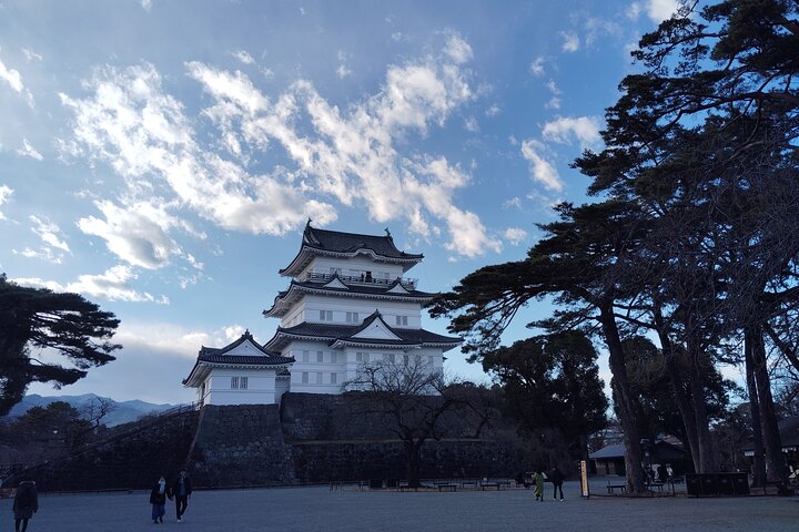 Odawara Castle Discovery of the Sengoku Samurai History