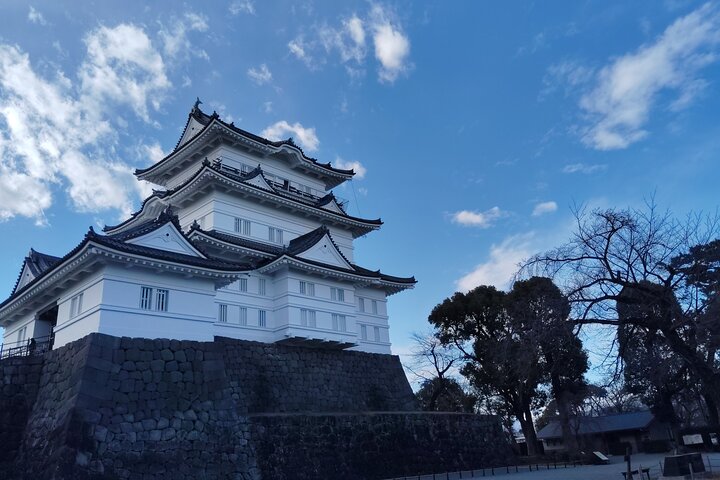 Odawara Castle Discovery of the Sengoku Samurai History