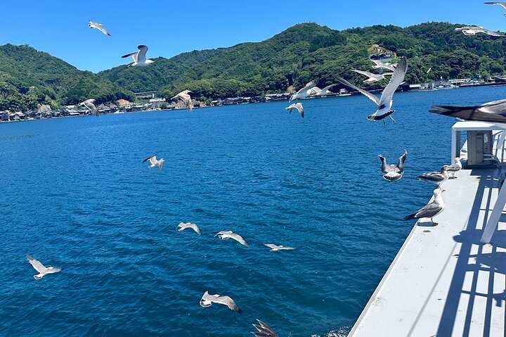 Amanohashidate & Ine Funaya Sightseeing Full Day Trip from Kyoto