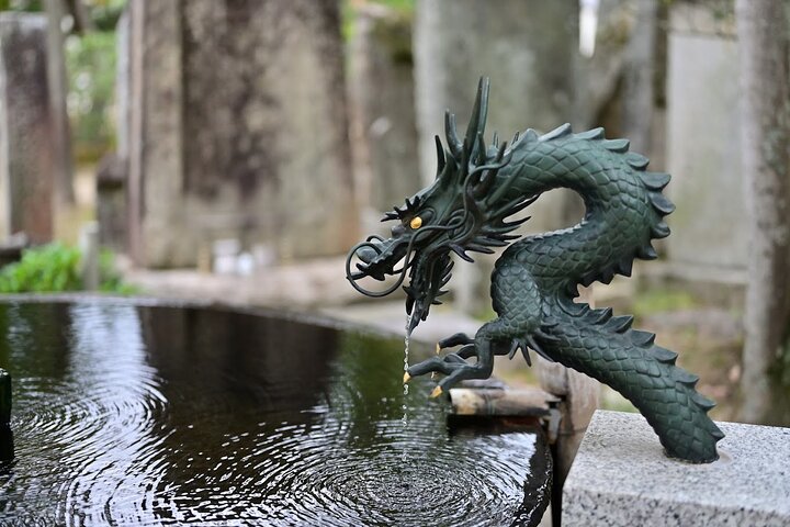 Amanohashidate & Ine Funaya Sightseeing Full Day Trip from Kyoto