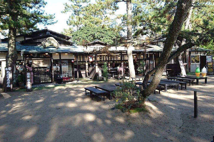 Amanohashidate & Ine Funaya Sightseeing Full Day Trip from Kyoto