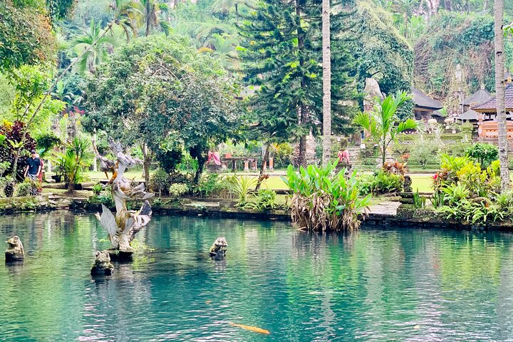 Ubud Private Tour: Waterfalls, Temple and Rice Terraces Swing