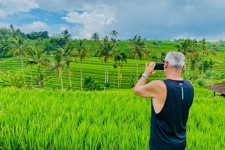 Ubud Private Tour: Waterfalls, Temple and Rice Terraces Swing