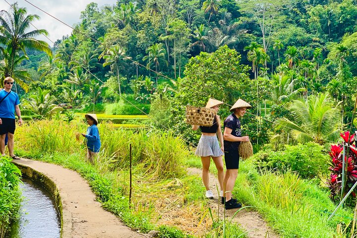 Ubud Private Tour: Waterfalls, Temple and Rice Terraces Swing