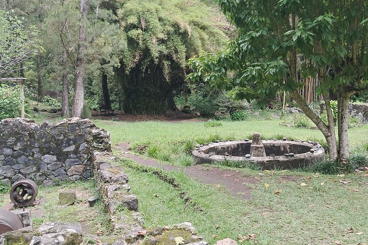 Private Day Circus Of Salazia