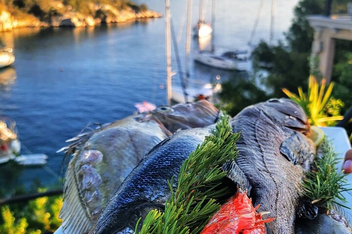 Bespoke private boat tour from Split & Trogir with a local expert