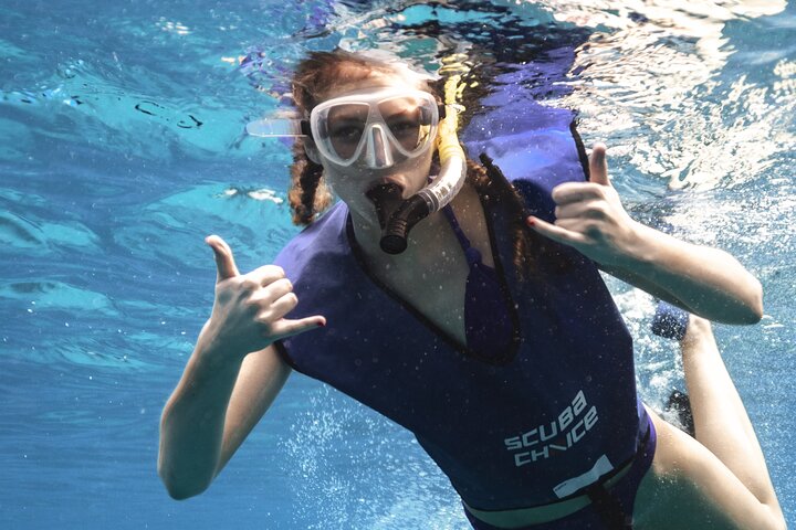 Waikiki Turtle Canyon Snorkel: Turtles Guaranteed