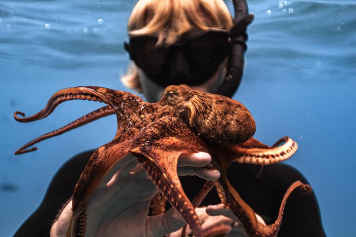 Waikiki Turtle Canyon Snorkel: Turtles Guaranteed