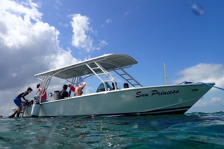 Hol Chan Marine Reserve and Shark Ray Snorkeling San Pedro Belize